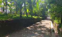 Tanah Pekarangan Luas Tangkil Karangnongko