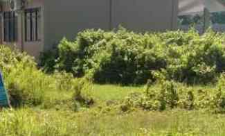 Tanah Pekarangan Pinggir jl Raya Strategis