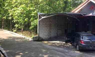 Tanah Pekarangan Pohon Jati Bayat Klaten