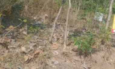 Tanah Pekarangan Siap Bangun