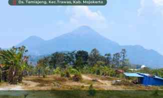 Tanah Pekarangan Trawas Depan Caf Suwon Camp