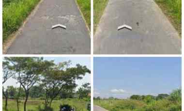 Tanah Pertanian Subur 1 Ha DiKlaten 200rb/m2