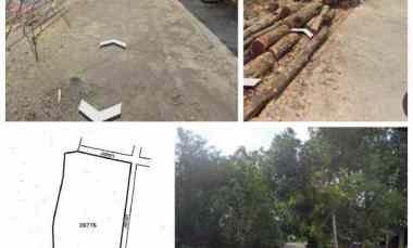 Tanah Perumahan 4300m2 Plesungan Karanganyar 450rb/m2