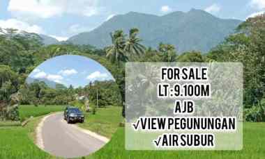 Tanah Pesawahan, Tanjung Siang Subang