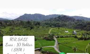 Tanah Dijual di Subang