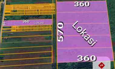 Tanah Pinggir Jalan Serdam Ukuran 55x360