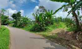 Tanah Pinggir Jalan Tanah Murah Dibogor Tanah Shm
