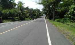 Tanah Dijual Murah Pinggir Jalan Utama di Selemadeg Tabanan Bali