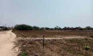 Tanah Dijual di Kp tanjungan des tanjungan kec ciekusik kab pandeglang