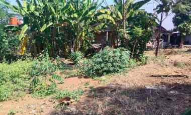 Tanah Dijual di Tohudan