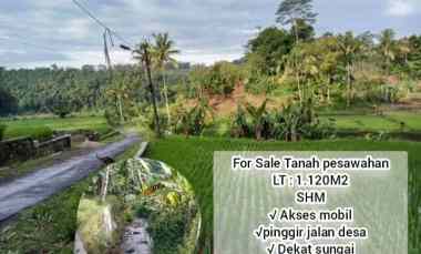 Tanah Produktif, dekat Sungai, View Bagus, Subang