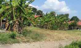 Tanah Rata dan Padat di Kawasan Komersil