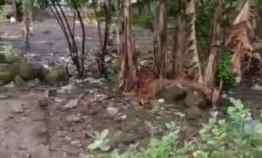 Tanah Rata dan Padat Pinggir Jln Desa