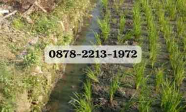 Tanah Dijual di Rancaekek Bandung