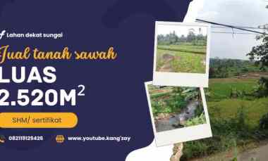 tanah sawah dekat sungai subang jawa barat