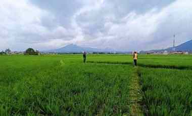 Tanah Dijual di Rancaekek