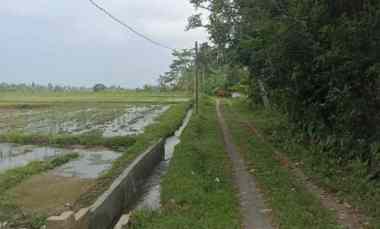 Tanah Dijual di Penebel, Tabanan, Bali