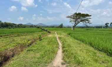 Tanah Dijual di Sambirejo Sragen, Jawa Tengah