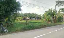 Tanah Sawah Pinggir Jln Strategis