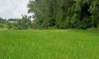 Tanah Sawah Siap Bangun