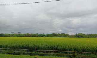 Tanah Dijual di Karangmalang, Sragen