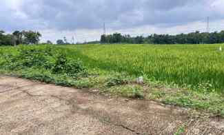 Tanah Dijual di Kerjo, Karanganyar