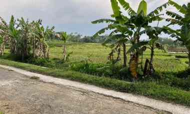 Tanah Dijual di Matesih, Karanganyar, Solo, Jawa Tengah