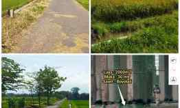 Tanah Dijual Cepat 2000m2 Sawit Boyolali Muka 30mtr Harga 500jt