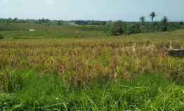 Tanah Dijual 3000 m2 di Pantai Soka Selemadeg Tabanan