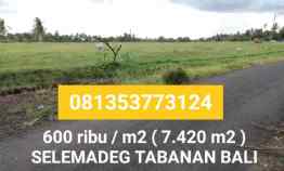 Tanah Dijual di Selemadeg Tabanan Bali