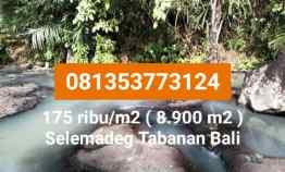 Tanah Dijual di Selemadeg Tabanan Bali