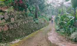 Tanah Kebun Durian 3000 M Siap Panen Wisata Alam Karangpandan Kra