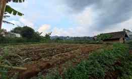 Kavling di Setiabudi Regency Kotak