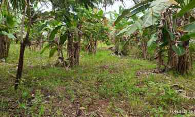 Tanah Dijual di Jalan Raden Gunawan, Hajimena