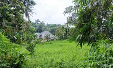Tanah Dijual di Kedaung, Kemiling l
