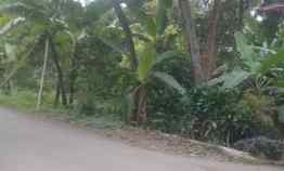 Tanah Dijual di Sindangwangi majalengka jabar