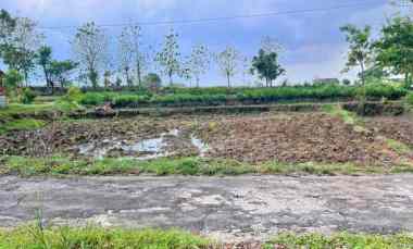 Tanah Strategis 792m 250Jt Mojogedang