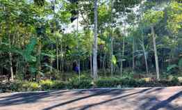 Tanah Strategis Bangun Rumah Tinggal Mojogedang