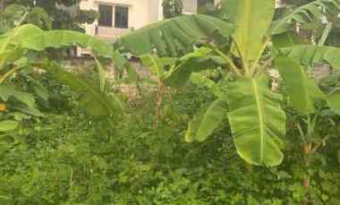 Tanah Strategis Daerah Sambiroto Semarang