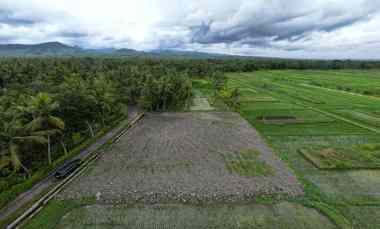 Tanah Strategis dekat Bandara YIA, Siap Bangun SHM