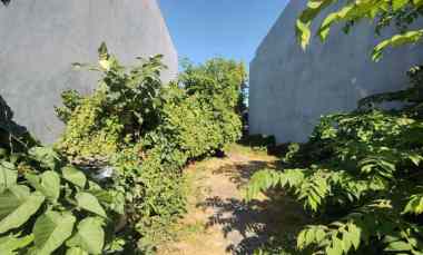 Tanah Strategis, dekat DharmaHusada, Unair