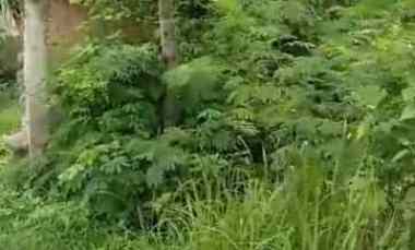 Tanah Dijual di Harjamukti kota cirebon