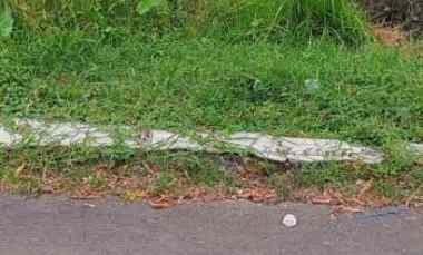 Tanah Strategis Pinggir Jln Raya Provinsi