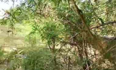 Tanah Dijual di Harjamukti kota cirebon jabar