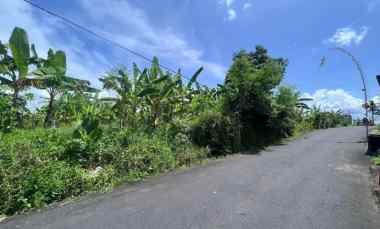 Tanah Strategis View Sawah di Tumbak Bayuh Canggu