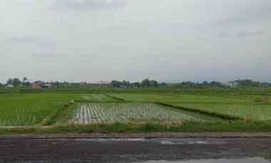 Tanah Subur 1147m2 Masaran, Sragen