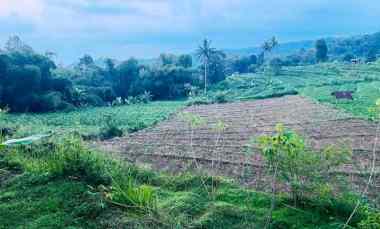 Tanah Dijual di Ngargoyoso, Karanganyar