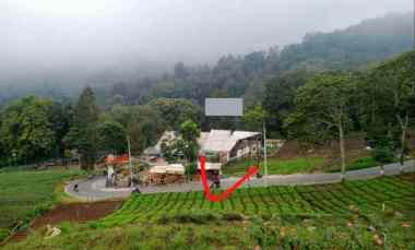 Tanah Subur Super Luas Murah View Pegunungan Kota Batu