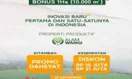 Promo Properti Produktif Alamwangi Beli 100 m2 Bonus 1 Ha