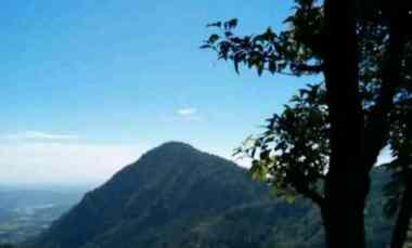 Tanah Dijual di Bogor